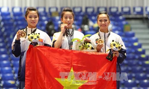 Thể thao Việt Nam hướng tới đấu trường lớn hơn sau SEA Games